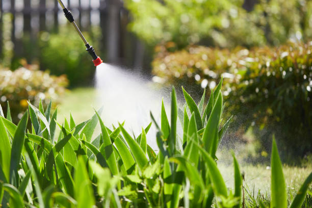 24/7 Emergency Cockroach Control experts in Johnstown, OH