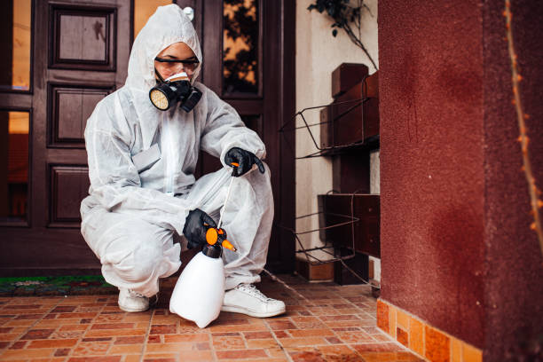 Reliable Cockroach Control contractor in Johnstown, OH by Nex Pest Control